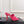 CC Double C Mules 9.5cm Pink Leather 891678