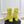 Alaia Boots 5.5cm Fishnet Ankle Boots Yellow Mesh Patent Leather 892044
