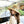 CD Logo Hat 212623