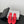 CC Crystal Logo Thong Sandals Red Leather 915112