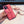 CC iPhone Case 381972