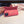 CC iPhone Case 381972