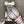 Prad America's Cup Logo Tag Sneakers Brown Soft Rubber & Bike Fabric 951924