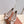 LP Primula Pointed-Toe Ballet Flats Silk Bow Beige Suede 954475