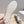 TR Leopard Print Low-Top Sneakers Cream Horsehair 954421