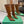 BLC Cagole Knee-High Boots 9.5cm Brown Leather 985497