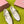 Miu 26S Mary Jane Flats Buckled Strap Logo Cream Suede 137199