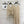 CD 26S Open-Knit Cardigan & V-Neck Slip Dress Set 437215