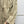 Prad 26SS Hooded Long Trench Coat Triangle Logo Drawstring Waist Cotton 437675