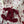 CC 26FW Cherry Blossom Jacquard Cardigan Silk 446689