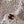 CC 26FW Cherry Blossom Jacquard Vest Silk 446688