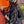 CC 26FW Long Scarf 110×200cm Cashmere 550675