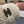 CC 26FW  Bucket Hat Multicolor Faux Fur 552011