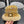 CE 26FW Color-Block Knit Beanie Wool 551997
