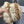 CC 26FW Color-Block Knit Bucket Hat Faux Fur 551902