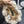 CC 26FW Color-Block Knit Bucket Hat Faux Fur 551902