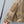 CC 26FW High-Collar Jacket Gold-Tone Snap Buttons Wool 447516