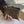 HM 26FW Wallet Coin Pouc Cowhide Leather 564568