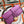 HM Jige 29 Violet Epsom 229073