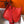 Evelyne 29cm Red Togo Shw