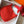 Evelyne 29cm Red Togo Shw
