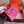 HM KELLY MINI 19 DEEP PINK CROCODILE EMBOSSED COWHIDE GOLD HARDWARE