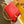 COUSSIN PM 27 PELLE DI AGNELLO GONFIABILE CON MONOGRAMMA ROSSO IN RILIEVO 