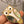 VCA Brooch 05