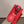 HM EVELYNE MINI 18 RED TOGO