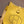 HM EVELYNE MINI 18 LEMON TOGO