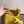 HM EVELYNE MINI 18 LEMON TOGO