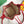 BORSA A SECCHIELLO PETIT FLOT 22 IN TELA GOYARDINE ROSSA CLASSICA E FINITURE IN PELLE DI AGNELLO