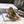 JAdior slingback pump 95 beige full diamond crystal and seude