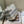 SMALL 25 VANITY CASE IN PASTEL GRAY MONOGRAM OBLIQUE JACQUARD