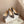 Hangisi Taupe Satin Crystal Embellished Pumps 700528