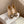 Hangisi Beige Satin Crystal Embellished Pumps 700534
