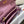 kelly woc 20.5 light pink epsom gold hardware