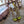 Jimmy 25 Josefine 100mm Sandals Lime Green Calfskin 240070