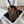 Celine Medium Folco Bag In Triomphe Canvas And Calfskin