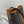 Celine Medium Bucket Bag In Triomphe Canvas With Calfskin