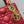 micro lady 12 red lambskin