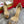 CL Very Strass Peep Toe Pumps 120mm PVC and Glitter Gold