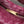 mini jodie 28 burgundy lambskin