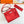 Kelly Danse II 22cm Red Evercolor Leather Shw