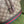 BORSA A SECCHIELLO OPHIDIA MEDIA 26 CON WEB IN TELA BEIGE EBANO MIX PELLE DI VITELLO MARRONE