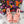 d&g iguana print pastel pink calfskin 90 heel
