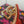 d&g iguana print brown calfskin 90 heel