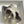 picotin lock 18 ivory togo shw