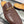 GG Men's Mule Brown Premium Calfskin 559040