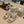 Jimmy 25 Azia 95 Platinum Ice Dusty Glitter Fabric 240077